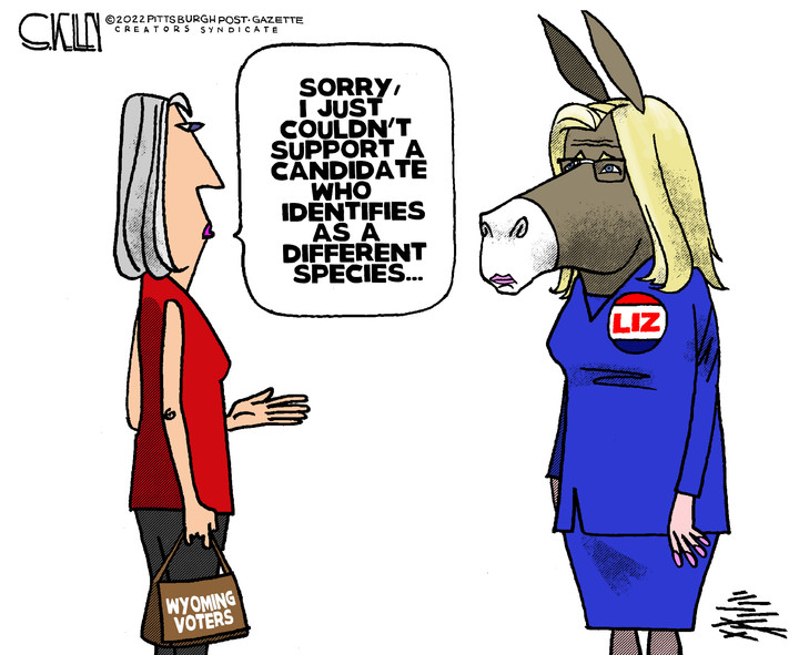 Steve Kelley for Aug 18, 2022