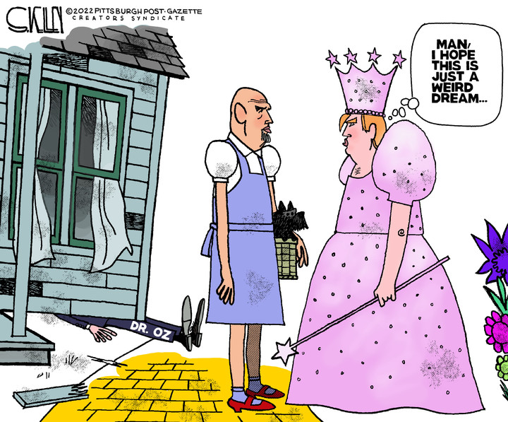 Steve Kelley for Nov 10, 2022