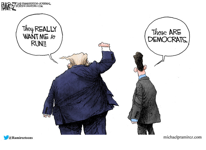 Michael Ramirez for Nov 16, 2022