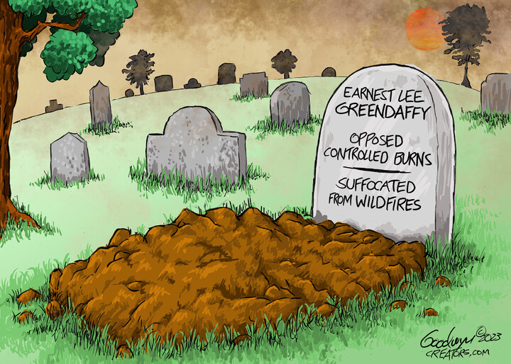 Al Goodwyn for Jun 13, 2023