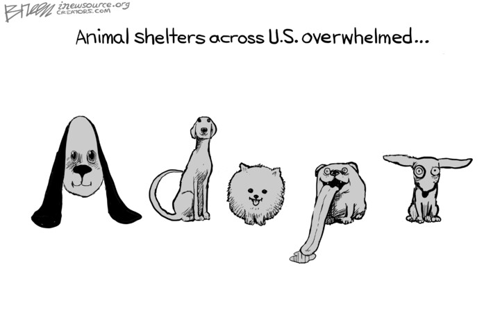 Steve Breen for Aug 13, 2024