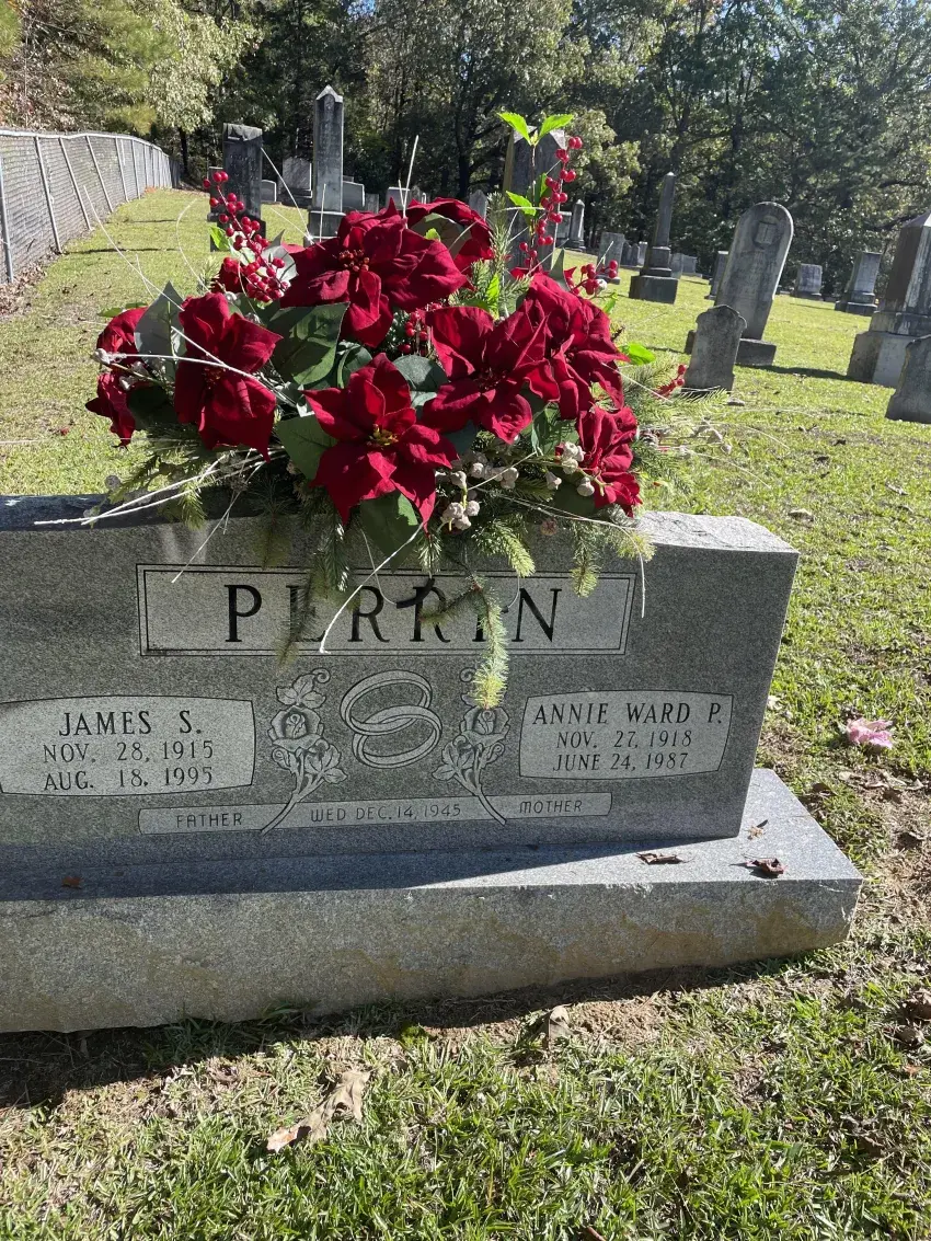 No grass growing around stones.