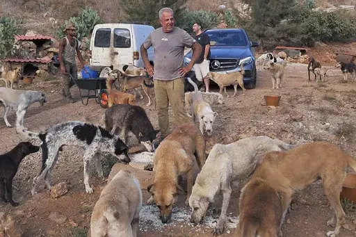 In this photo provided by Mashala Shelter, Hussein Hamza feeds dogs at his animal shelter in Kfour, south Lebanon in 2024. (Mashala Shelter via AP)