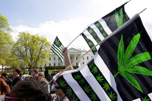 A demonstrator waves a flag with marijuana leaves depicted on it during a protest calling for the legalization of marijuana, outside of the White House on April 2, 2016, in Washington. President Joe Biden is pardoning thousands of Americans convicted of “simple possession” of marijuana under federal law, as his administration takes a dramatic step toward decriminalizing the drug and addressing charging practices that disproportionately impact people of color. (AP Photo/Jose Luis Magana, File