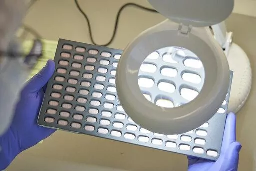 In this photo provided by Pfizer, a lab technician visually inspects COVID-19 Paxlovid tablet samples in Freiburg, Germany in December 2021. As more doctors prescribe Pfizer's powerful COVID-19 pill, new questions are emerging about its performance, including why a small number of patients appear to relapse after taking the drug. (Pfizer via AP, File)
