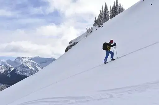 Doug Chabot with the Gallatin National Forest Avalanche Center ascends Henderson Mountain in the Beartooth Mountains, Jan 29, 2024 near Cooke City, Mont. Chabot was climbing to the site of a recent avalanche. (AP Photo/Matthew Brown)
