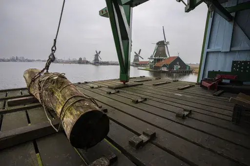 A tree trunk waits to be sawn under the giant sails of the centuries-old Gekroonde Poelenburg windmill in Zaanse Schans, Netherlands, Thursday, Feb. 13, 2025. (AP Photo/Peter Dejong)