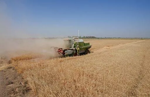 A combine harvester at the middle of a wheat field harvesting crops in Yousifiyah, Iraq Tuesday, May. 24, 2022. At a time when worldwide prices for wheat have soared due to Russia's invasion of Ukraine, Iraqi farmers say they are paying the price for a government decision to cut irrigation for agricultural areas by 50% due to severe water shortages arising from high temperatures, drought, climate change and ongoing water extraction by neighboring countries from the Tigris and Euphrates rivers - 