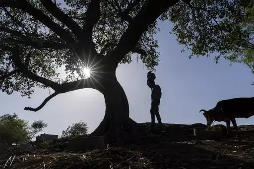 Vaibhav Maske, a farmer, carries water in a vessel at his farm outside Beed, India, Friday, May 3, 2024. Voters in India, from the rain-drenched Himalayas in the north to the sweltering, dry south, are looking for politicians who promise relief, stability and resilience to the wide-ranging and damaging effects of a warming climate. Maske said local and federal governments need to prioritize providing a water source for farming. (AP Photo/Rafiq Maqbool)