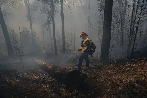 Firefighter John Ward works to control the Black Cove Fire, March 26, 2025, in Saluda, N.C. (AP Photo/Allison Joyce, File)