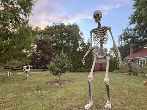 A 12-foot Home Depot skeleton is pictured in the front yard of a Cincinnati home on Sept. 24, 2024. The 2024 Halloween season marks the fifth anniversary of Home Depot debuting their iconic giant skeleton. (AP Photo/Sallee Ann Harrison)