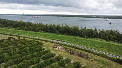 Orange groves at Ben & Ben Becnel, Inc. are seen along the Mississippi River in Plaquemines Parish, La., Thursday, Sept. 28, 2023. Citrus farmers in the southeast corner of Louisiana are scrambling to protect and save their crops from salt water, which for months has polluted the fresh water they use for irrigation. A mass flow of salt water from the Gulf of Mexico continues to creep up the Mississippi River and threaten Louisiana communities water used for drinking, cooking and agriculture. (AP
