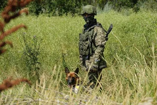 A Russian mine clearing expert with a dog works to find and defuse mines along the high voltage line in Mariupol, on the territory which is under the Government of the Donetsk People's Republic control, eastern Ukraine, Wednesday, July 13, 2022. Despite getting bogged down in Ukraine, the Kremlin has resisted announcing a full-blown mobilization, a move that could prove to be very unpopular for President Vladimir Putin. That has led instead to a covert recruitment effort that includes trying to 