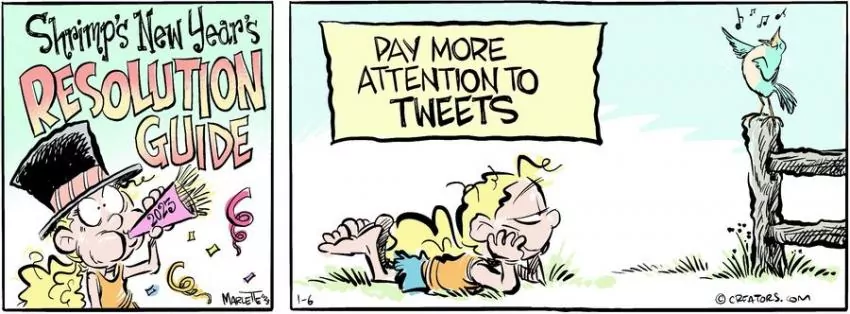 Shrimp and Grits for Jan 06, 2023