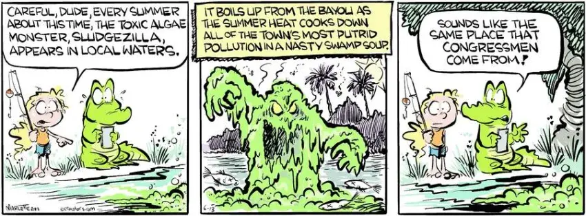 Shrimp and Grits for Jun 13, 2022