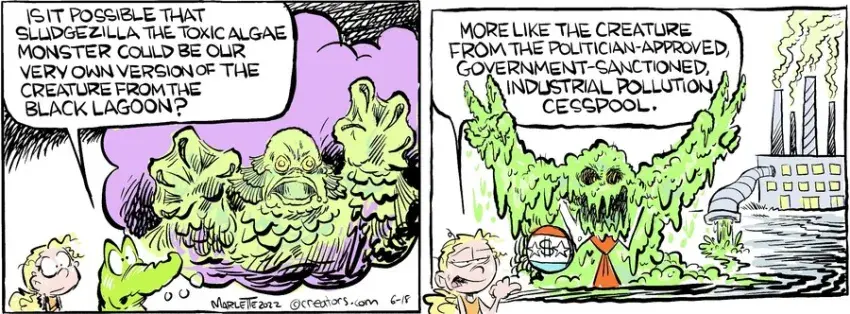 Shrimp and Grits for Jun 18, 2022