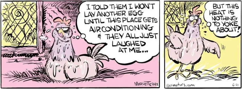 Shrimp and Grits for Jun 21, 2024