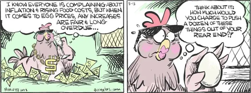 Shrimp and Grits for Aug 13, 2022