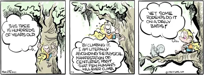 Shrimp and Grits for Nov 02, 2022